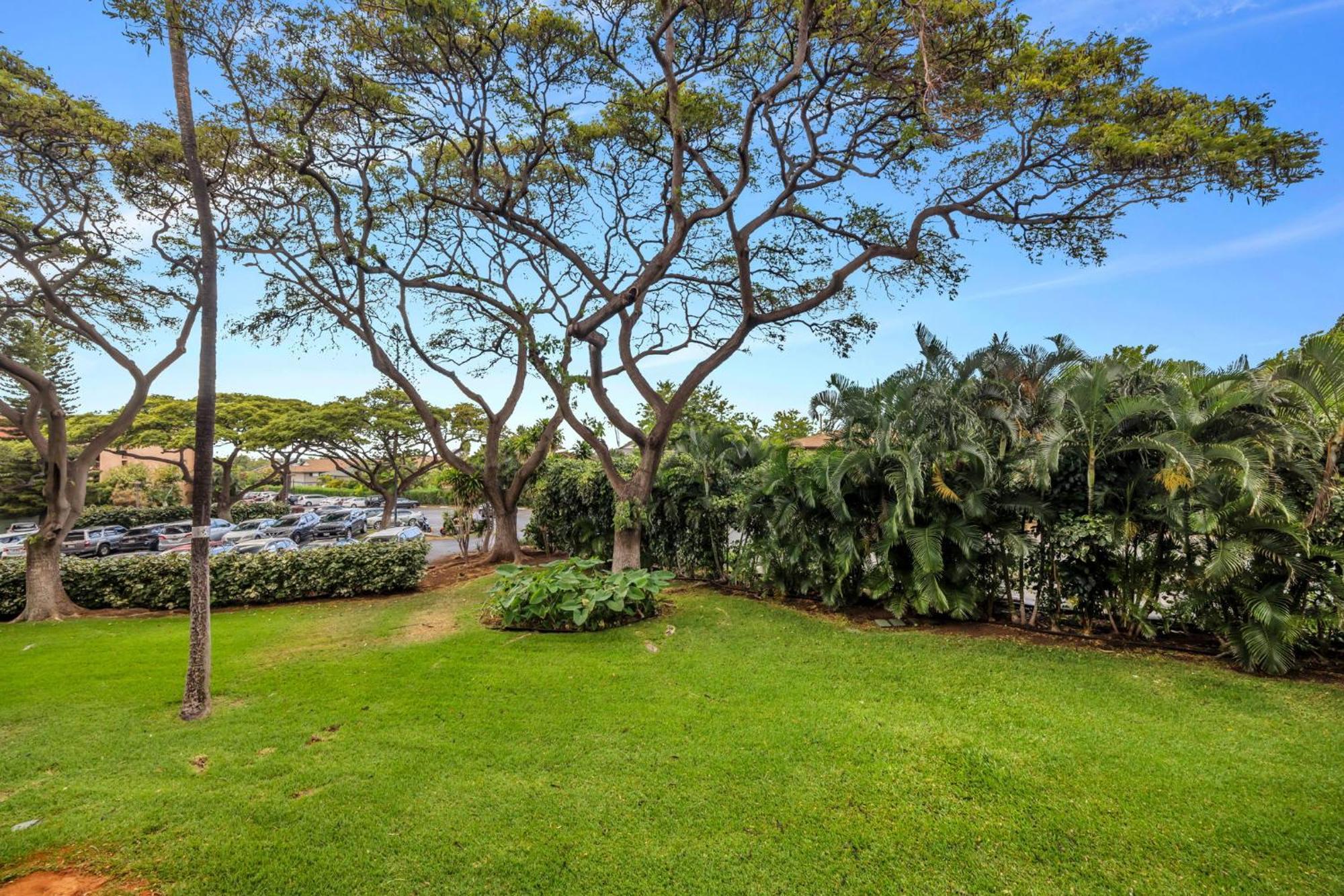 Maui Vista 2220 Apartment Kihei Exterior photo
